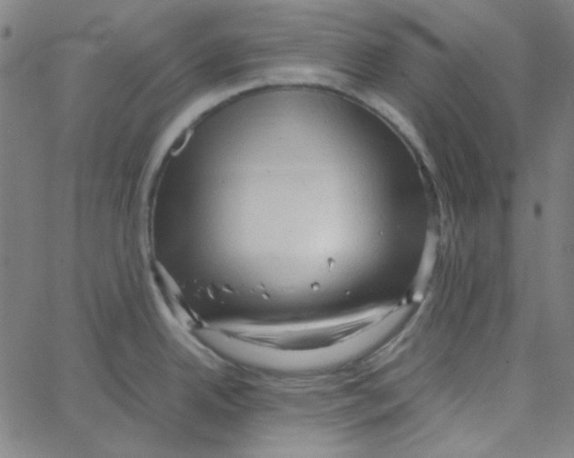 X0000067521342200604281624