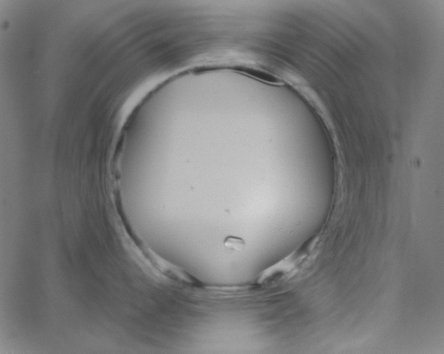 X0000067521344200604281624