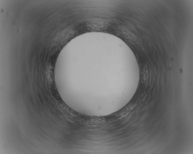 X0000067521346200604281623