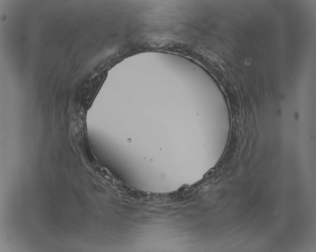 X0000067521349200604281623