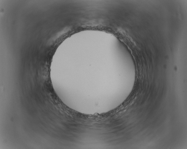 X0000067521350200604281623