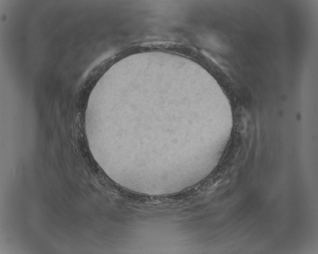 X0000067521351200604281623