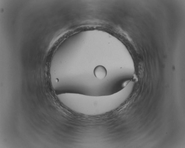 X0000067521352200604281623