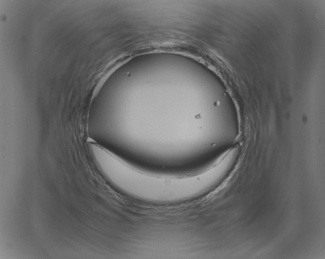 X0000067521353200604281623