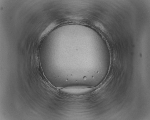 X0000067521354200604281623