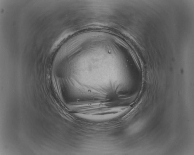 X0000067521355200604281623