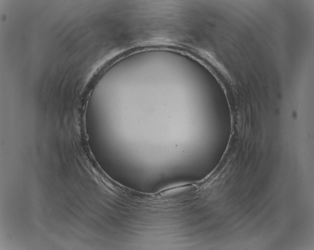 X0000067521356200604281623