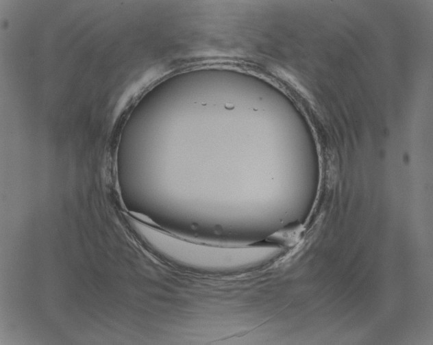 X0000067521357200604281623