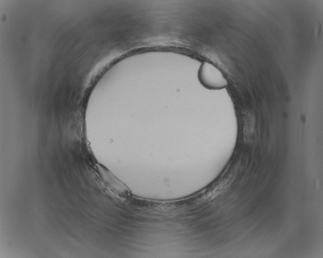 X0000067521358200604281623