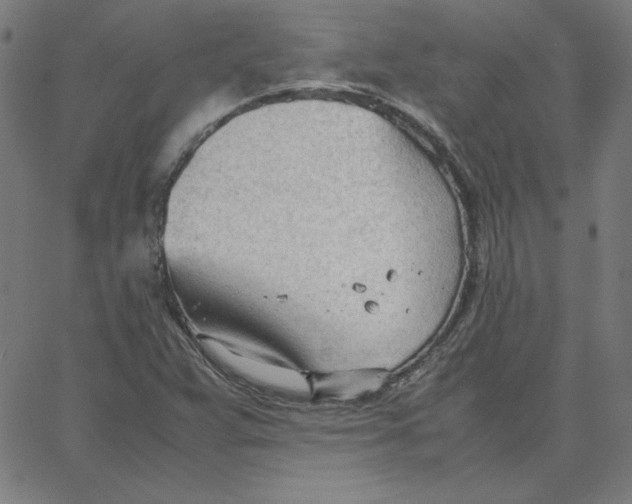 X0000067521359200604281623