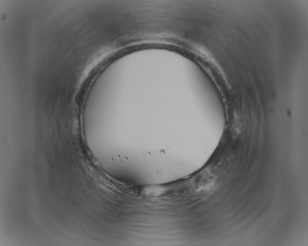 X0000067521360200604281623