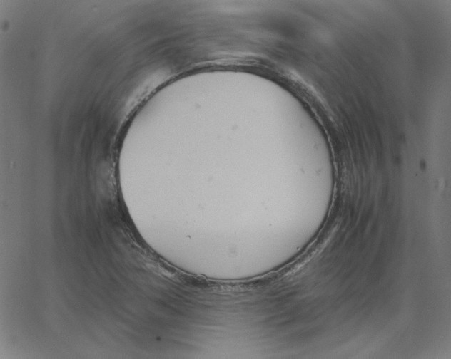 X0000067521362200604281623