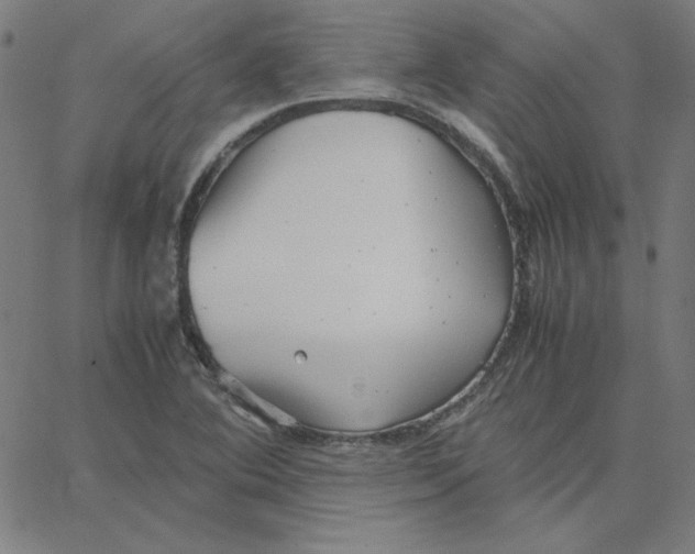 X0000067521364200604281623