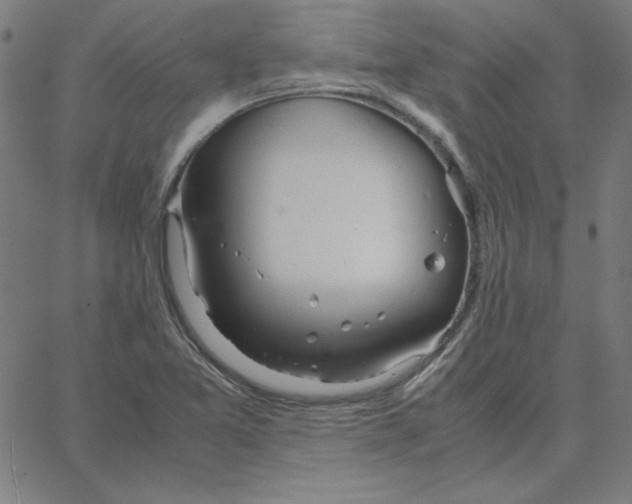 X0000067521365200604281623