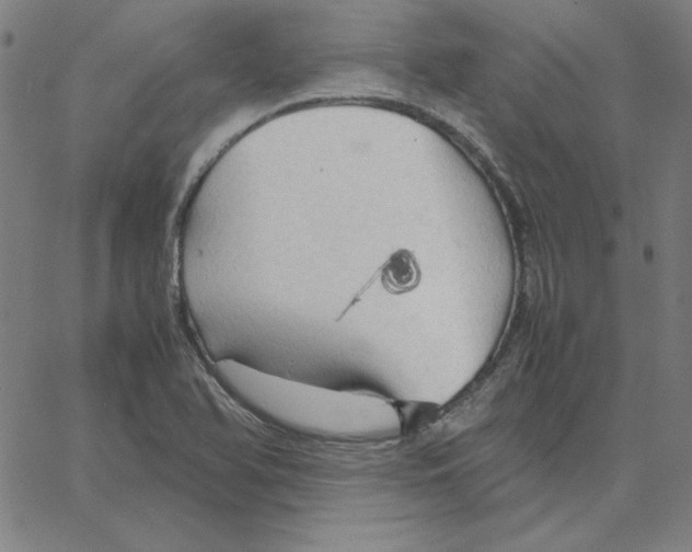 X0000067521366200604281623