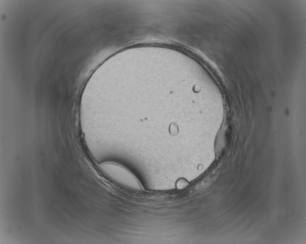 X0000067521367200604281623