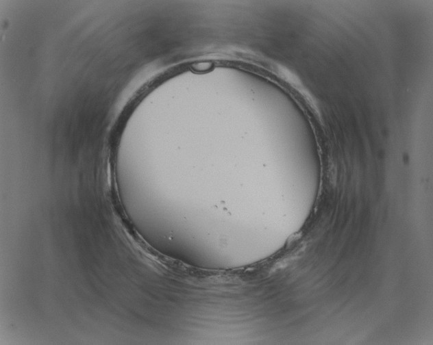 X0000067521368200604281623