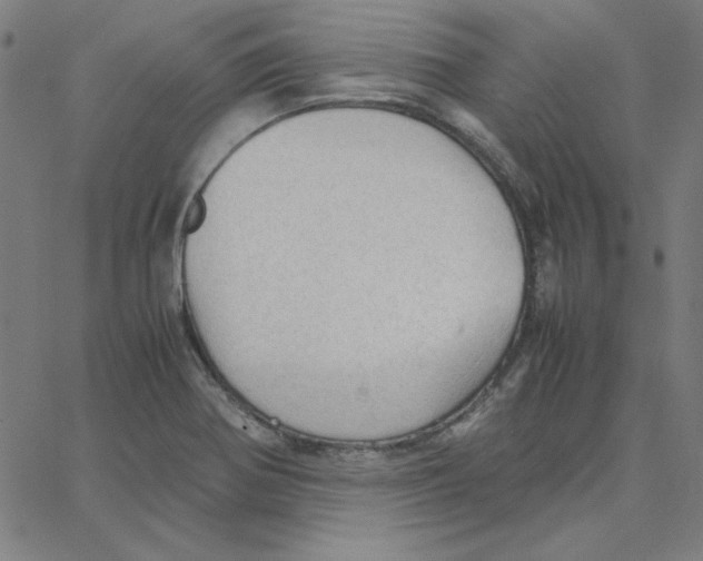 X0000067521370200604281623