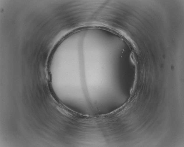 X0000067521372200604281623