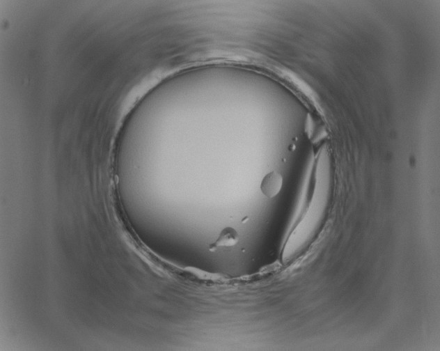 X0000067521373200604281623