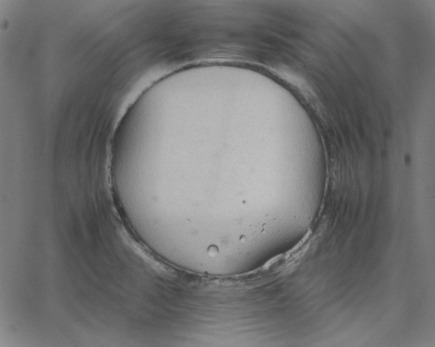 X0000067521374200604281623