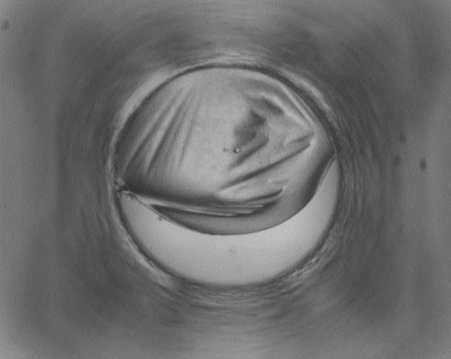 X0000067521375200604281623