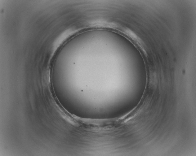 X0000067521376200604281623