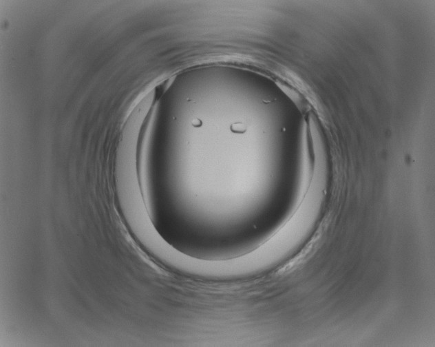 X0000067521377200604281623