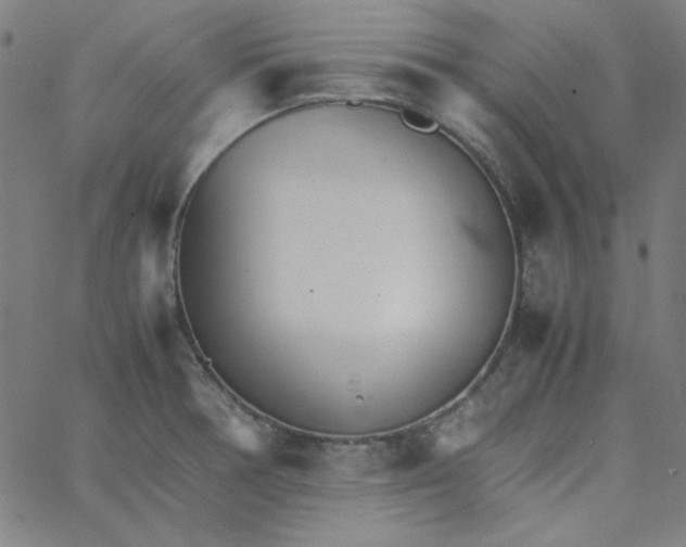 X0000067521378200604281623