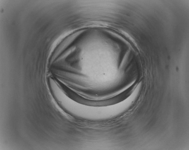 X0000067521379200604281623