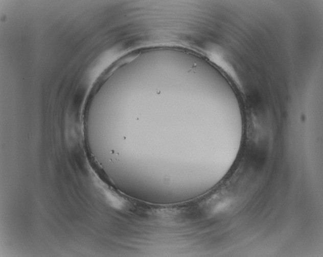 X0000067521380200604281623