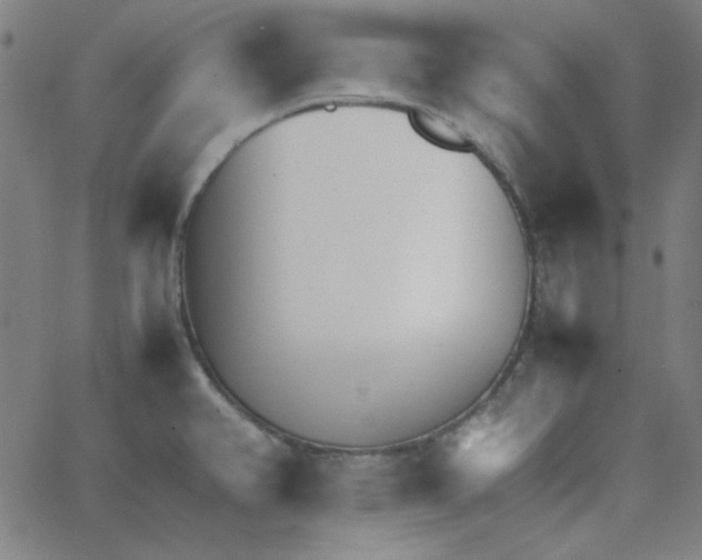 X0000067521382200604281623