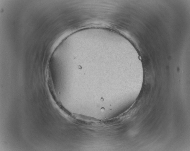 X0000067521383200604281623