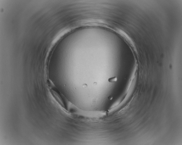 X0000067521384200604281623