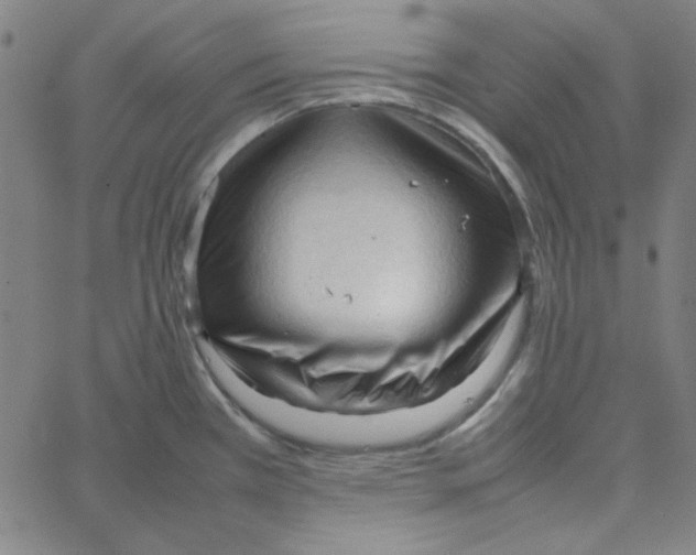 X0000067521385200604281623