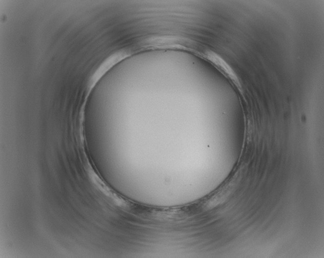 X0000067521386200604281623