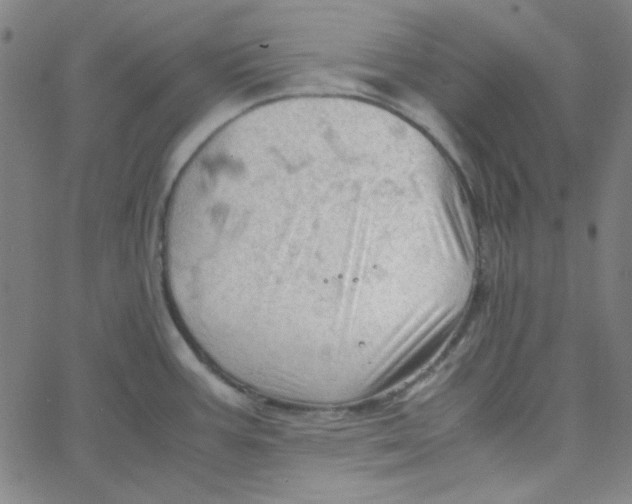 X0000067521387200604281623