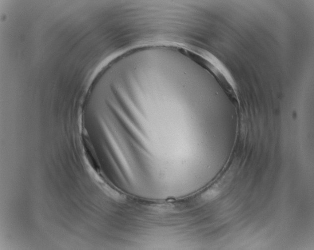 X0000067521388200604281623