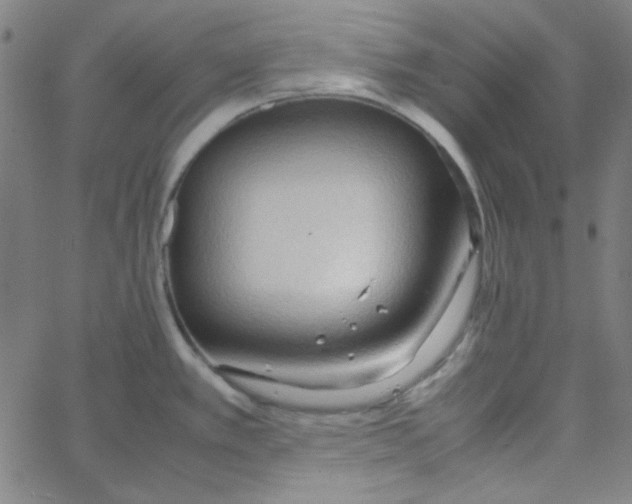 X0000067521389200604281623