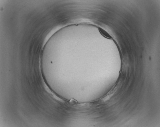 X0000067521390200604281623