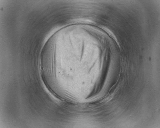 X0000067521391200604281623