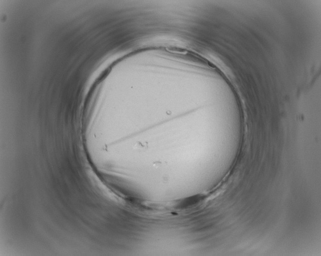 X0000067521392200604281623