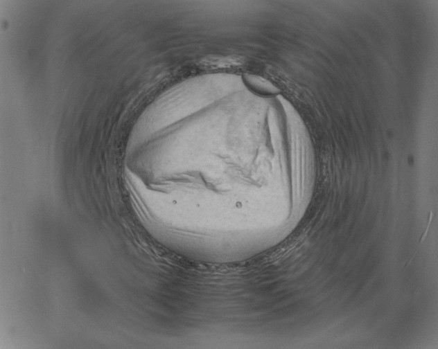 X0000067521393200604281622