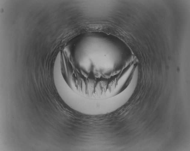 X0000067521394200604281622