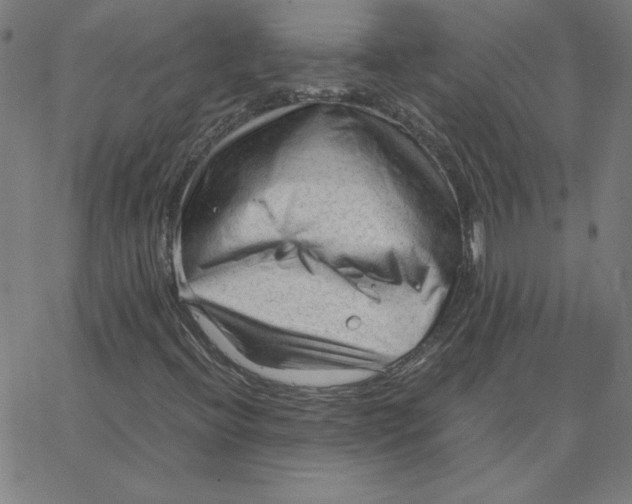 X0000067521396200604281622