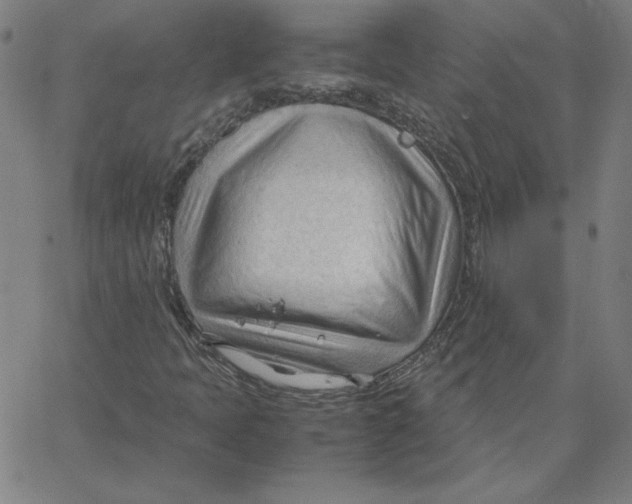 X0000067521397200604281622