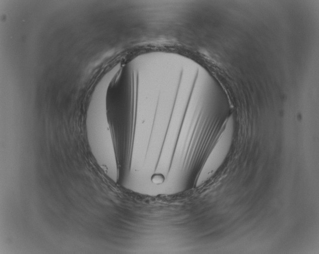 X0000067521398200604281622