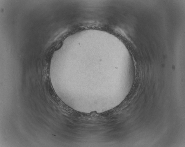 X0000067521399200604281622