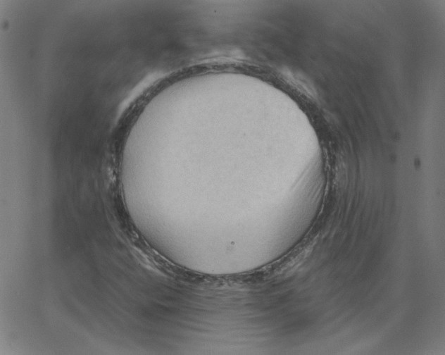 X0000067521400200604281622