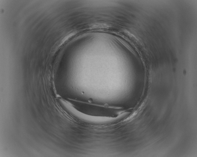 X0000067521401200604281622